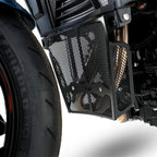 Downpipe Grille for the BMW F900 R '20-