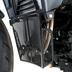 Downpipe Grille for the BMW F900 R '20-