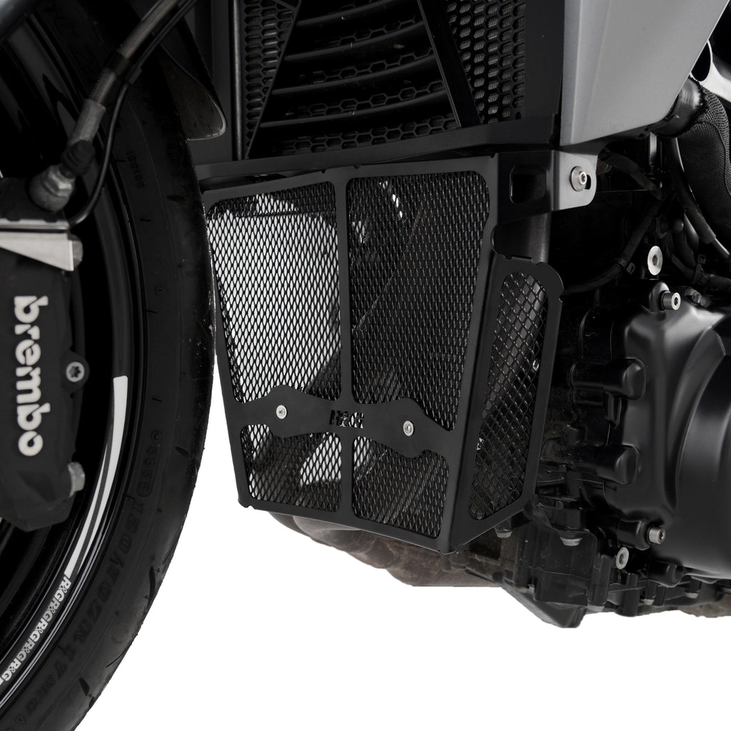 Downpipe Grille for the BMW F900 R '20-