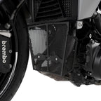 Downpipe Grille for the BMW F900 R '20-