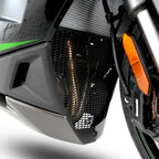 Pro Downpipe Grille for the Kawasaki Ninja 1000SX '20- & Ninja 1100SX '25-