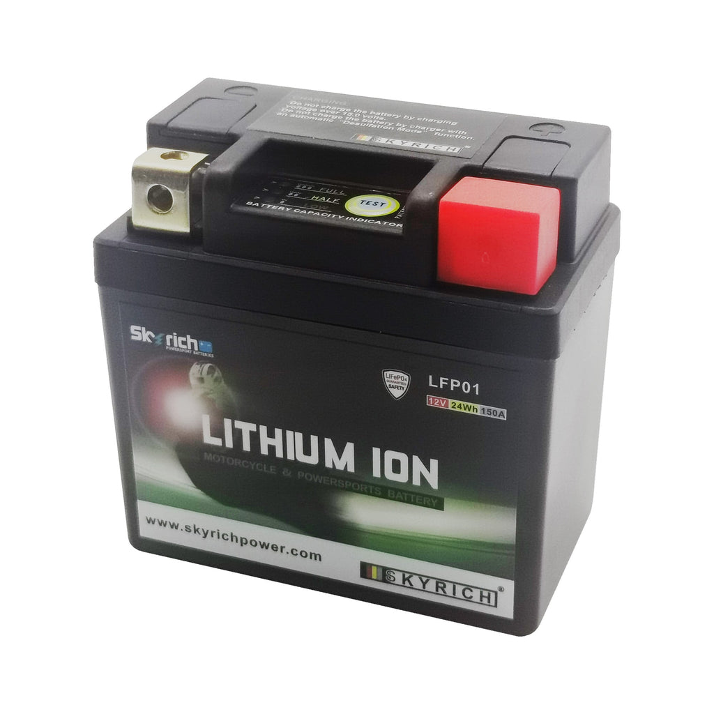 SkyRich Lithium Ion Battery LFP01