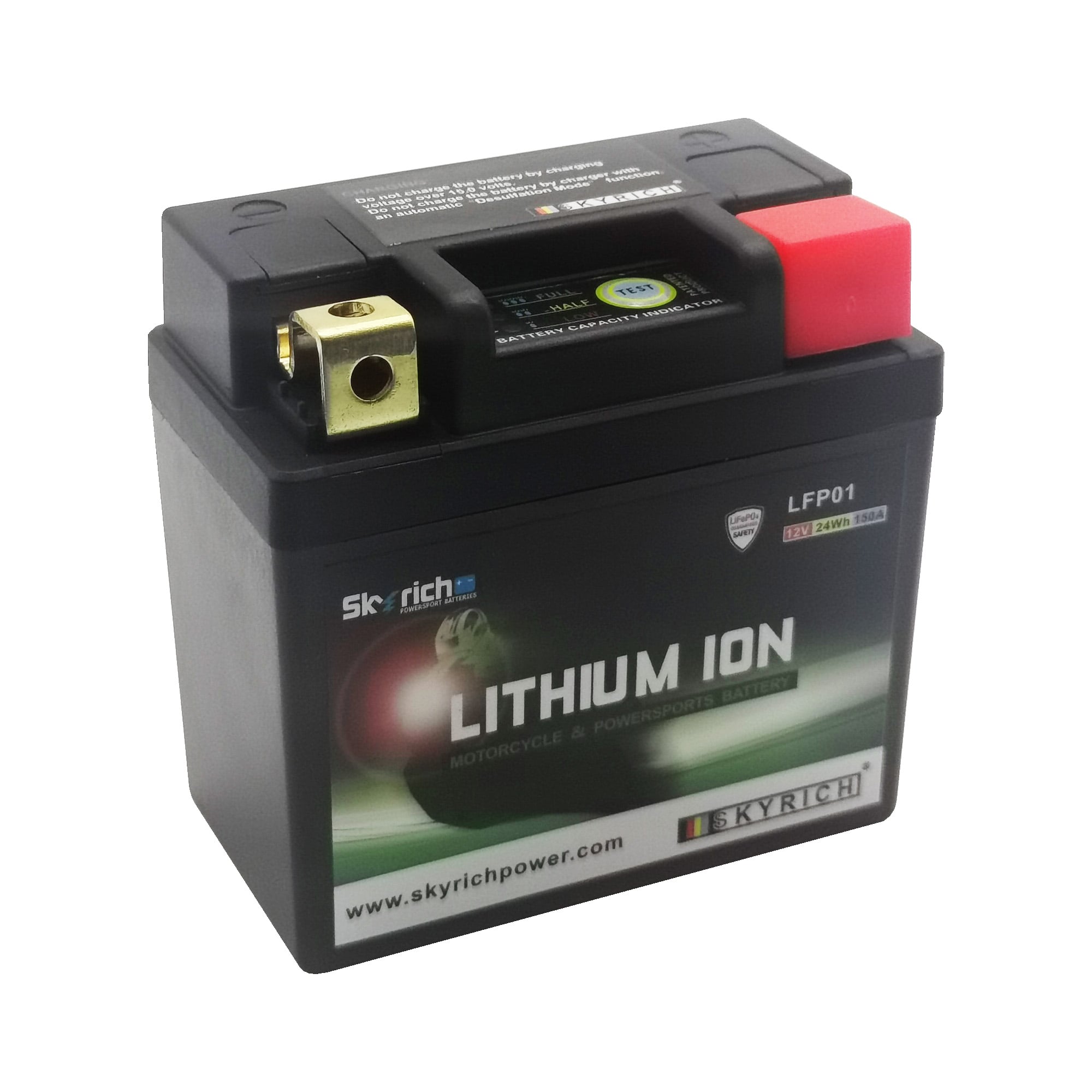 SkyRich Lithium Ion Battery LFP01