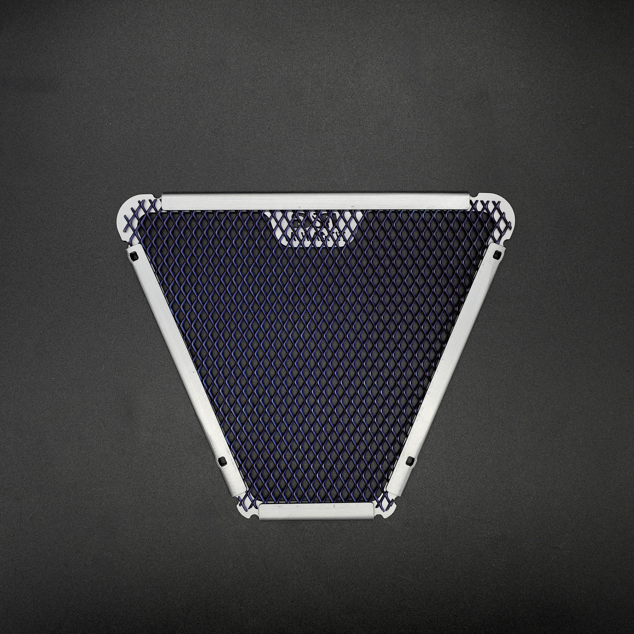 Titanium Oil Cooler Guard for Ducati Streetfighter V4(S) '20-, Panigale V4R '19-, Panigale V4(S) '18-  '24 & Panigale Speciale '18- Secondary image