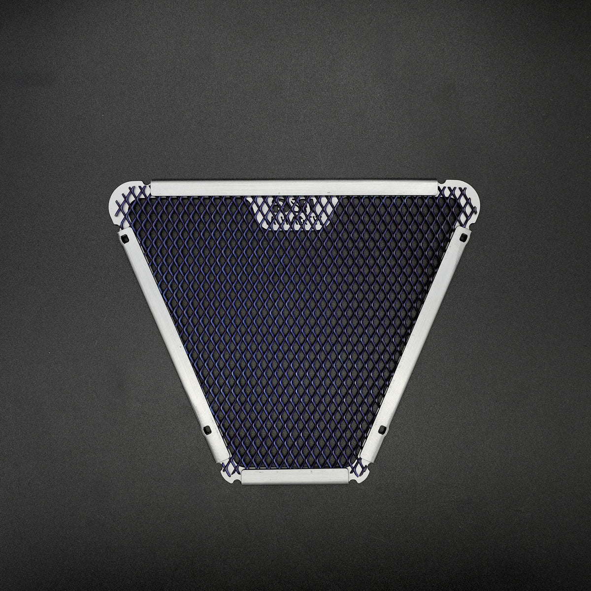 Titanium Oil Cooler Guard for Ducati Streetfighter V4(S) '20-, Panigale V4R '19-, Panigale V4(S) '18-  '24 & Panigale Speciale '18-