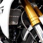 Stainless Steel Radiator Guard for the BMW R1200R/RS '15-'18, R1250R (RS) '19-25 & R1250RS SE '24-25.