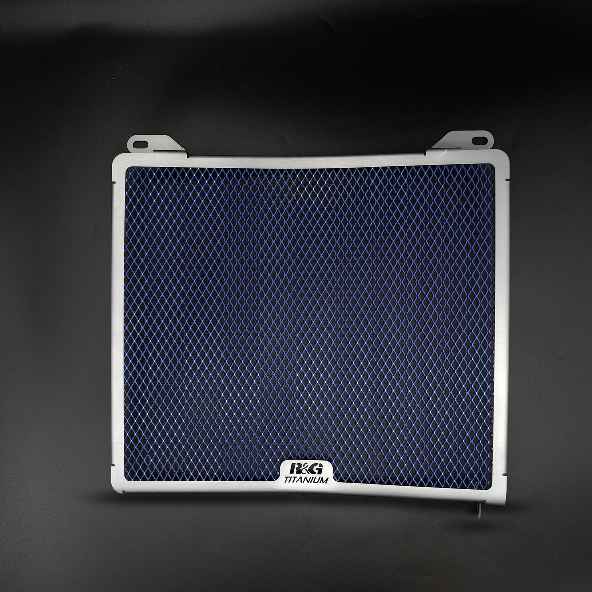 Titanium Radiator Guard for Aprilia Tuono 660 '21- '24 Main image