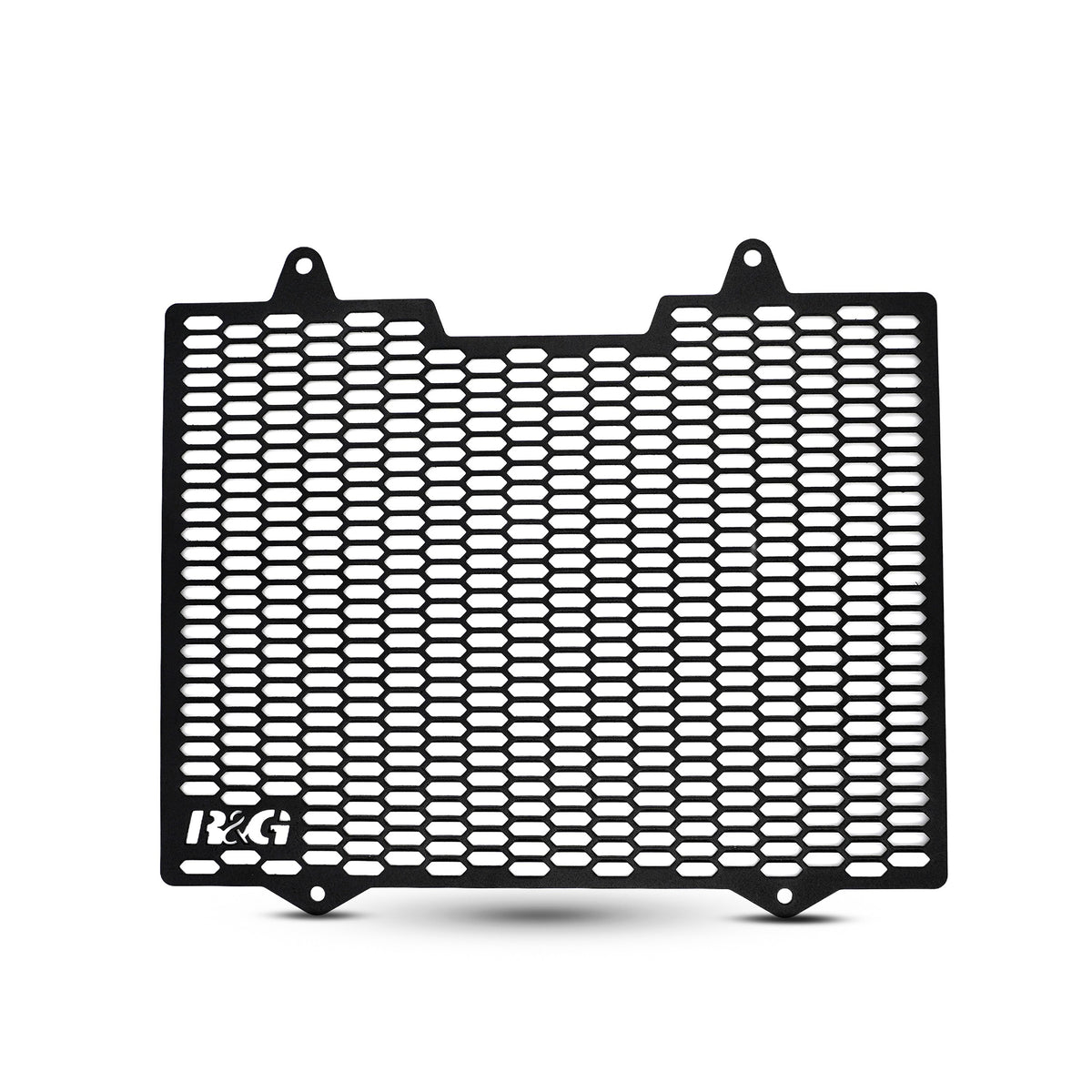 PRO Radiator Guard for BMW G310RR '22-25, G310GS '17-25 & TVS Apache RR 310 '21-25 Main image