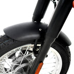 Front Fender - "shorty" style for BSA Gold Star '23-