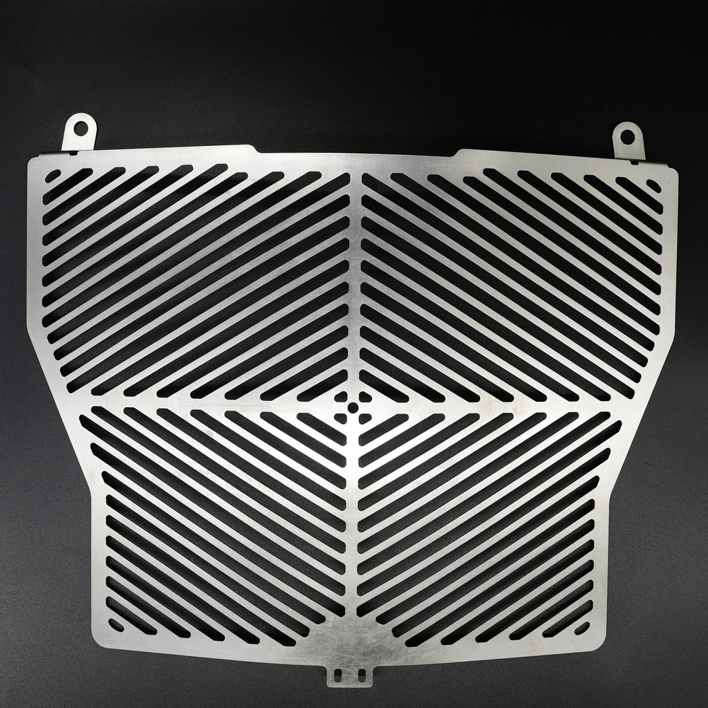 Stainless Steel Radiator Guard for the BMW S1000R '17-'20 models