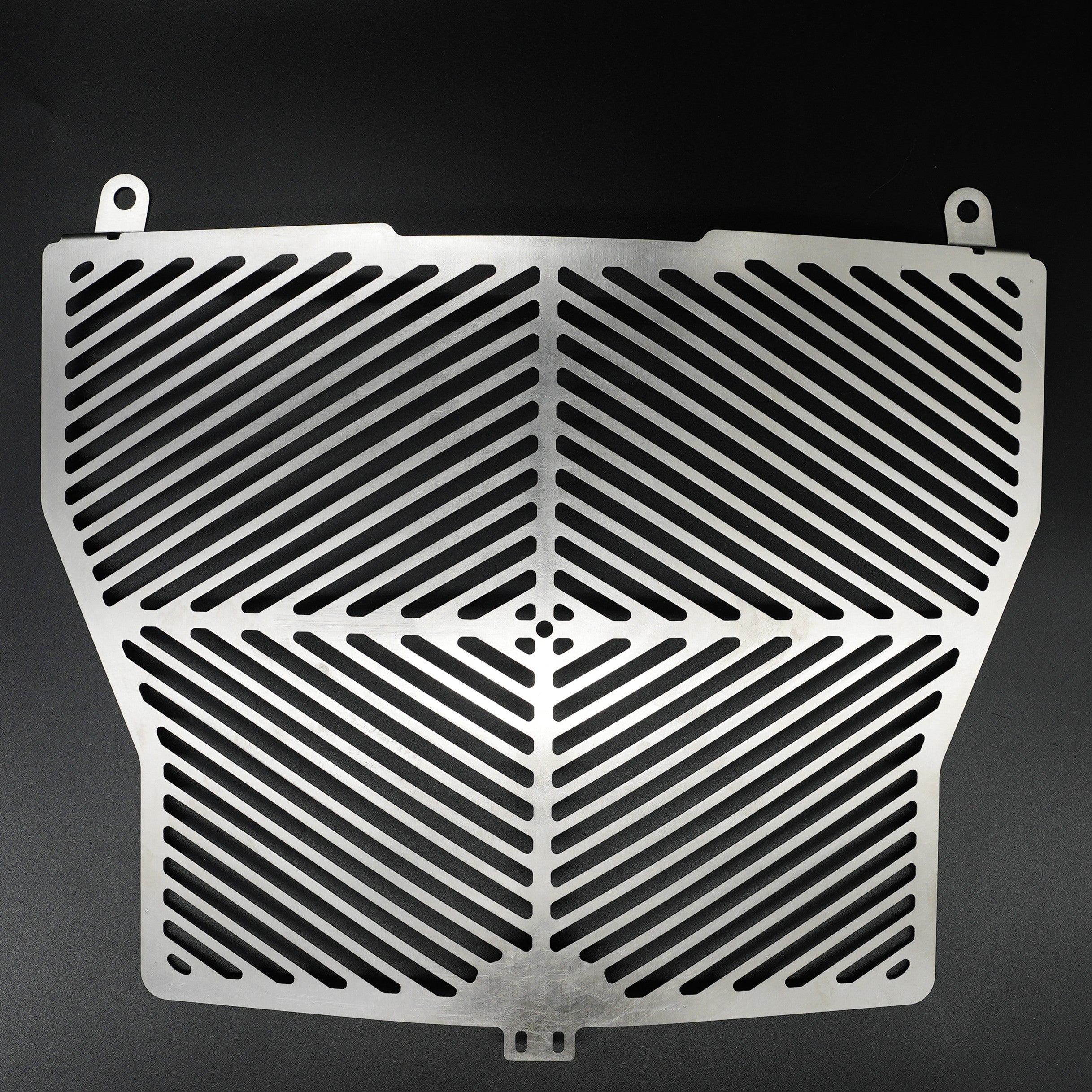 Stainless Steel Radiator Guard for the BMW S1000R '17-'20 models