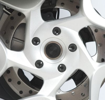 Swingarm Protectors for BMW F800GT F800ST '06-