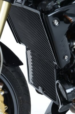 Radiator Guards for Triumph Speed Triple '05