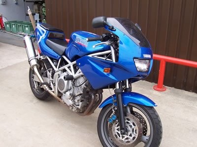 Crash Protectors - Classic Style for Yamaha TRX850 Secondary image