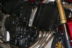 Crash Protectors - Classic Style for Honda CB600 Hornet '07 and CBF600 '08-'10