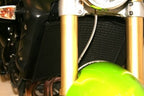 Radiator Guardsfor Triumph Street Triple and Street Triple R '07-'12