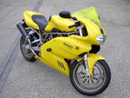 Crash Protectors - Classic Style for Ducati 600SS, 750SS, 900SS and 1000DS 2001 onwards