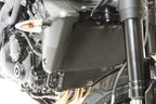Radiator Guards for Triumph Speed Triple '06-'09